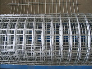 安平1.5m圈地大絲電焊網(wǎng)批發(fā)價格 大絲包塑電焊網(wǎng)